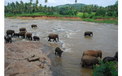 SRI LANKA, a ilha-lágrima das surpresas felizes