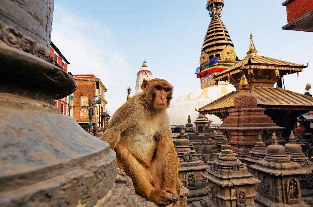 NEPAL e ÍNDIA Monumental, dois encantos numa só viagem