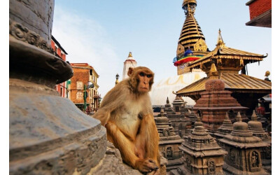 NEPAL e ÍNDIA Monumental, dois encantos numa só viagem